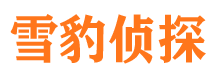 安图市侦探调查公司